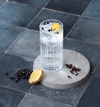 Botella de 350 ml con los ingredientes para crear tu propia Ginebra