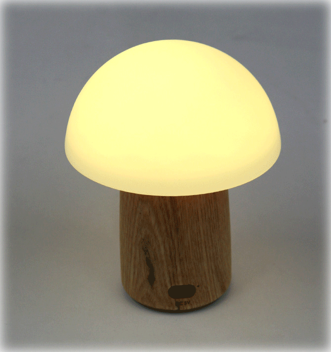 Lampara de sobremesa mini para tu despacho o casa - Solohombre